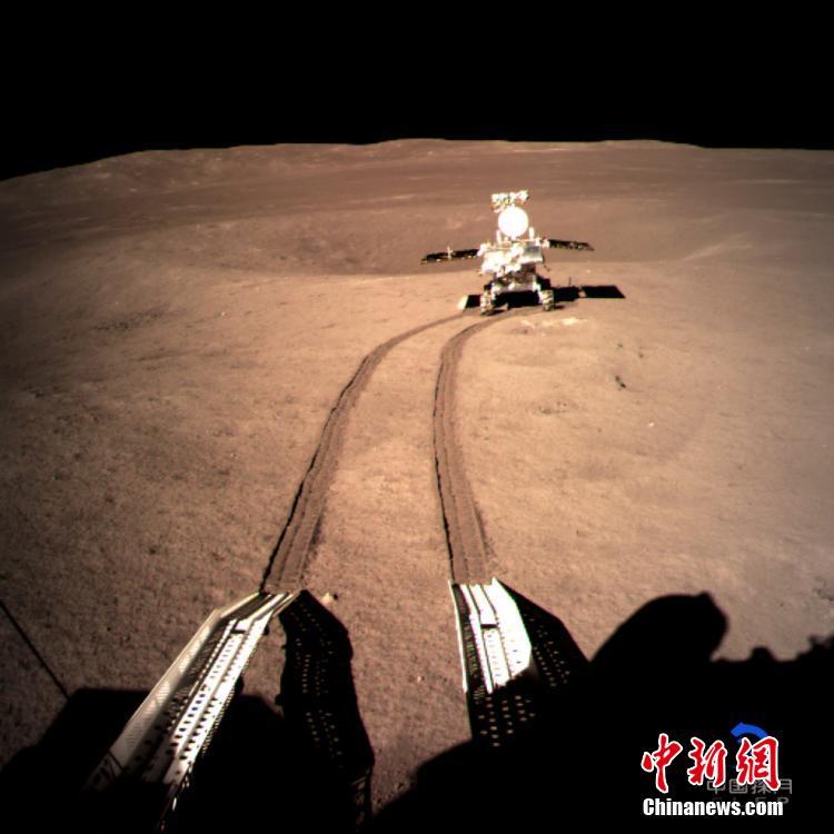 全面战争战锤3剑盾混勇兵种有什么优缺点