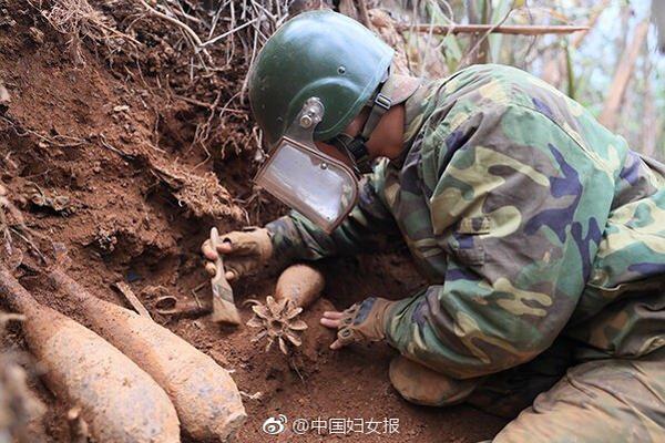 Grounded椿象一般居住在哪里