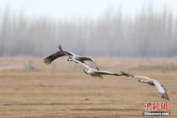 消逝的光芒2登墙跑跳和登墙连击怎么用