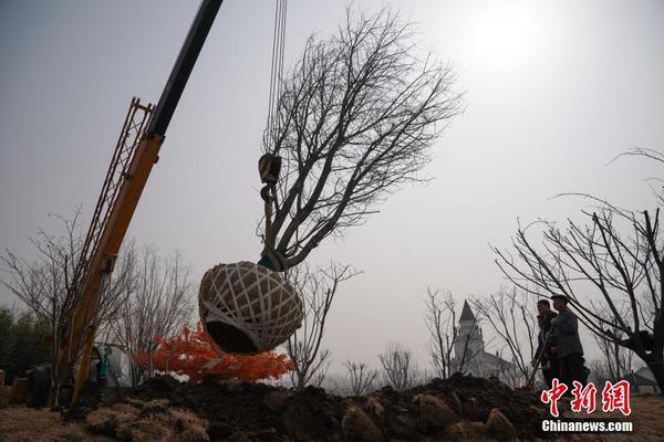 死亡循环预购奖励怎么获得