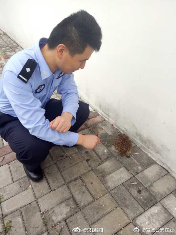 原神泡泡急行军有什么技巧